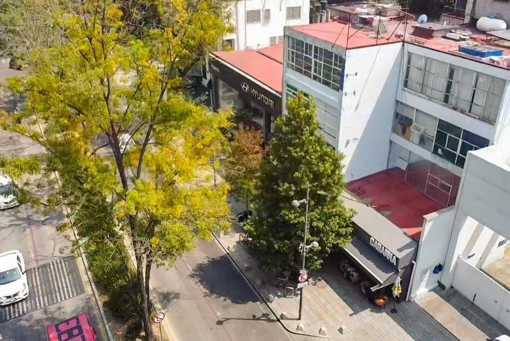 ¡Nuevo! Bamboo Celebrity Villa Mexico City Exterior photo